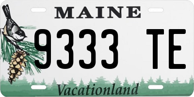 ME license plate 9333TE