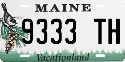 ME license plate 9333TH