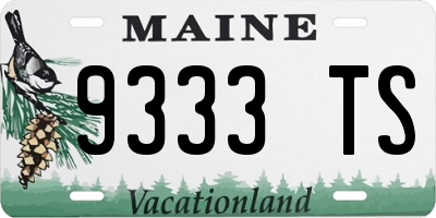 ME license plate 9333TS
