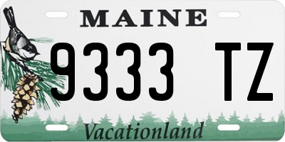 ME license plate 9333TZ