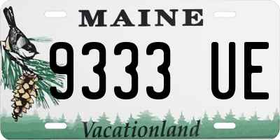 ME license plate 9333UE