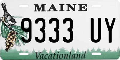 ME license plate 9333UY