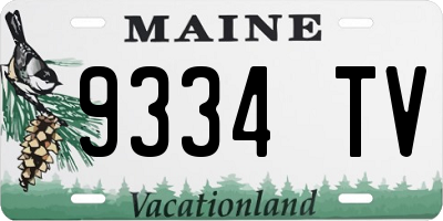 ME license plate 9334TV