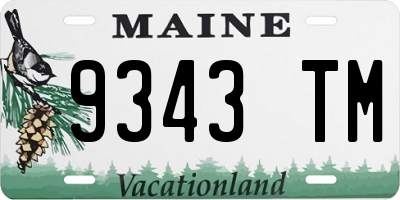 ME license plate 9343TM
