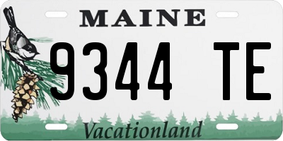 ME license plate 9344TE