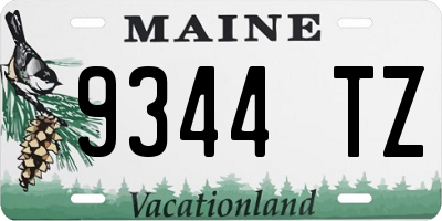 ME license plate 9344TZ
