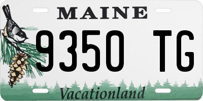 ME license plate 9350TG