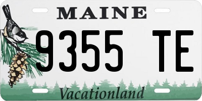 ME license plate 9355TE