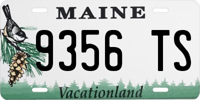 ME license plate 9356TS