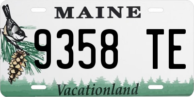 ME license plate 9358TE