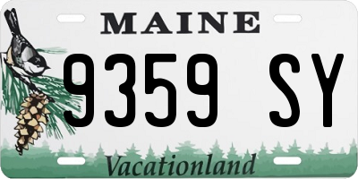 ME license plate 9359SY