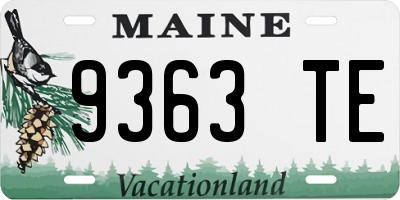 ME license plate 9363TE