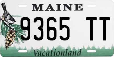 ME license plate 9365TT