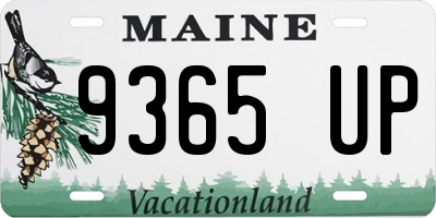 ME license plate 9365UP