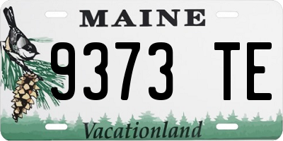 ME license plate 9373TE