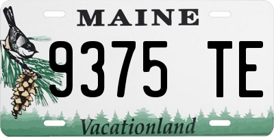 ME license plate 9375TE