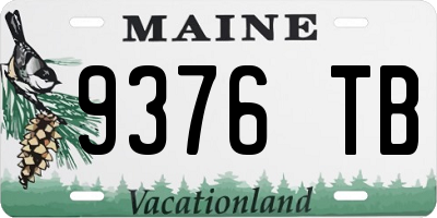 ME license plate 9376TB