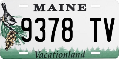 ME license plate 9378TV