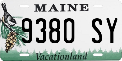 ME license plate 9380SY