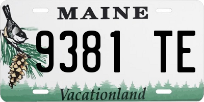 ME license plate 9381TE