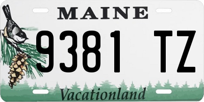 ME license plate 9381TZ