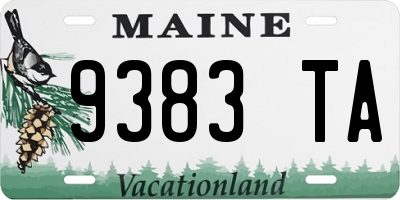 ME license plate 9383TA