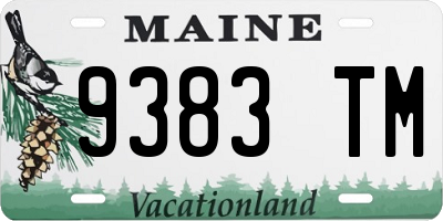 ME license plate 9383TM