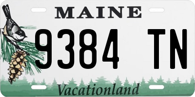 ME license plate 9384TN