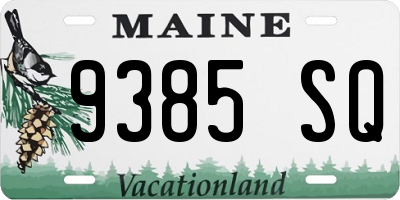 ME license plate 9385SQ