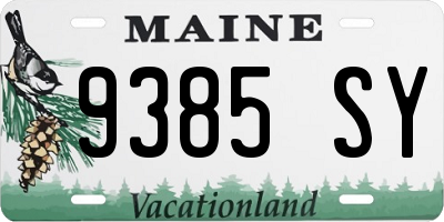 ME license plate 9385SY