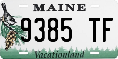 ME license plate 9385TF