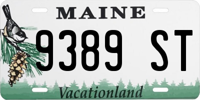 ME license plate 9389ST