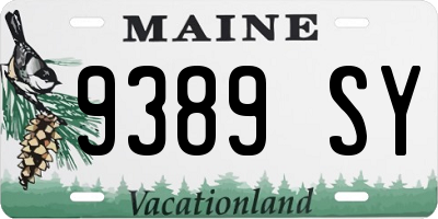 ME license plate 9389SY