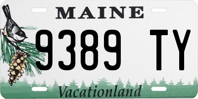 ME license plate 9389TY