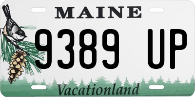 ME license plate 9389UP