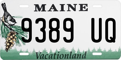 ME license plate 9389UQ