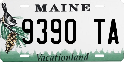 ME license plate 9390TA