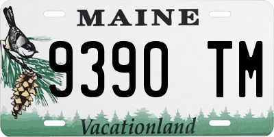 ME license plate 9390TM