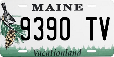ME license plate 9390TV