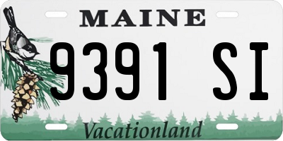 ME license plate 9391SI