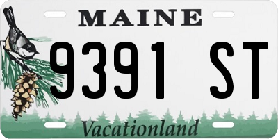 ME license plate 9391ST