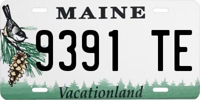 ME license plate 9391TE
