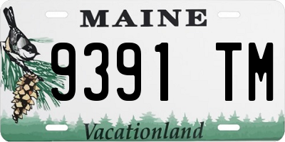 ME license plate 9391TM
