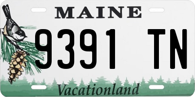 ME license plate 9391TN
