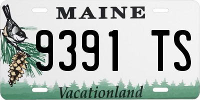 ME license plate 9391TS