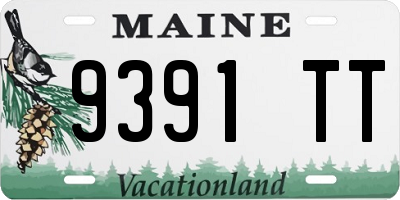ME license plate 9391TT