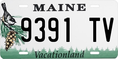 ME license plate 9391TV