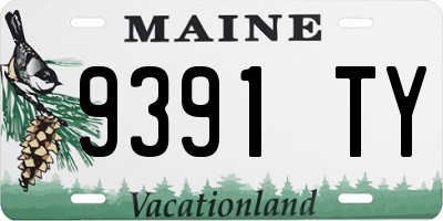 ME license plate 9391TY