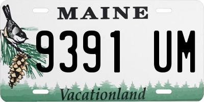 ME license plate 9391UM
