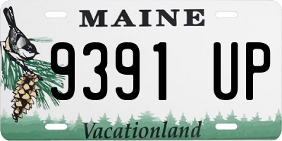 ME license plate 9391UP